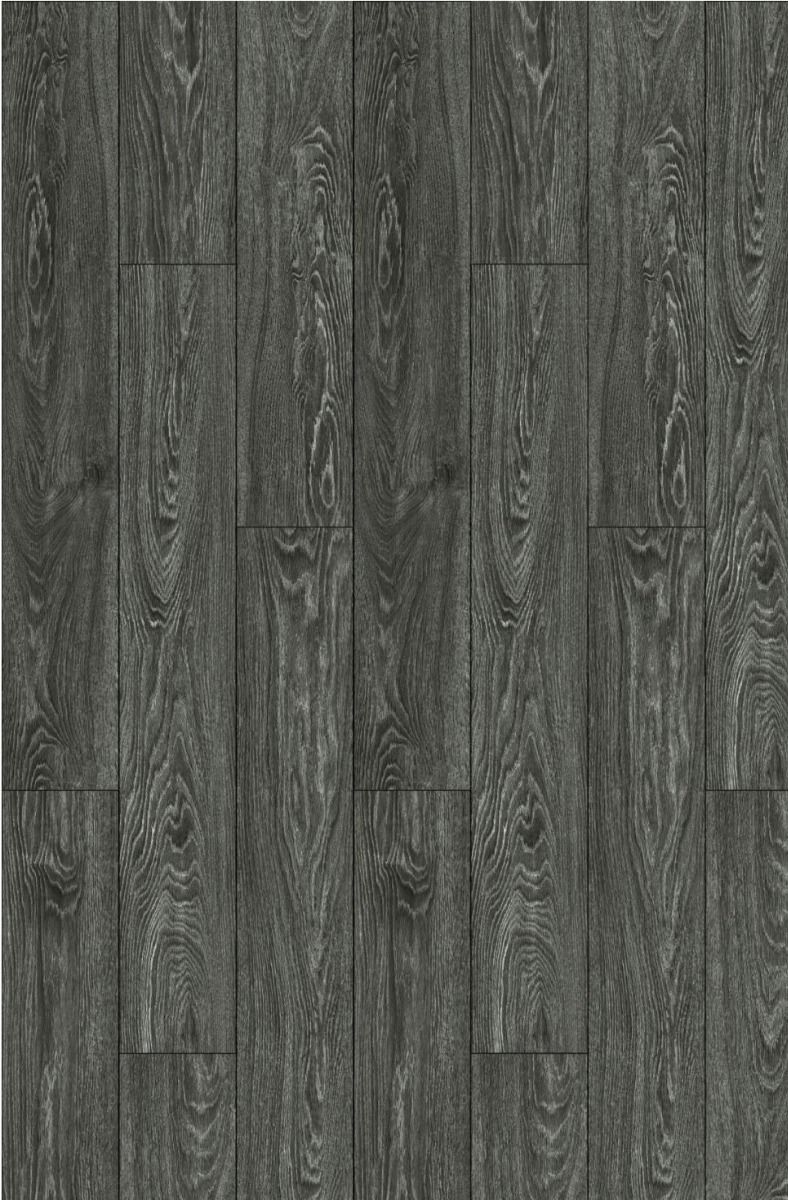 Tokyo Oak
